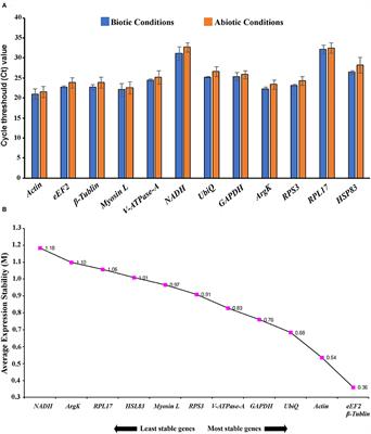 Reference Gene Selection for Normalizing Gene Expression in Ips Sexdentatus (Coleoptera: Curculionidae: Scolytinae) Under Different Experimental Conditions